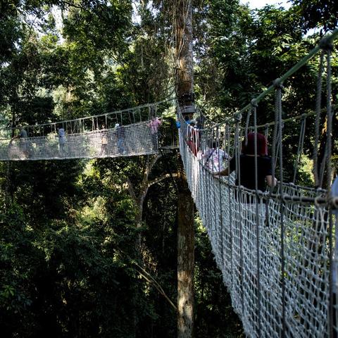 哈利波特觉醒巧克力蛙第四日NPC廊桥穿越