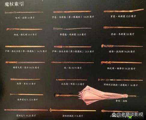 哈利波特觉醒魔杖随机分配？核心规则揭秘