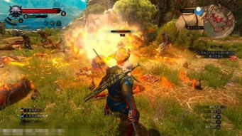 恶魔秘境沸血狂猎速攻流攻略