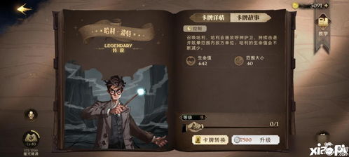 哈利波特觉醒贝卡卡组阵容搭配攻略