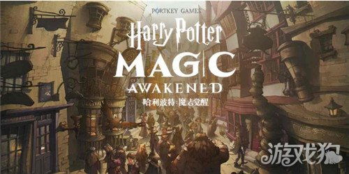 哈利波特觉醒卡包性价比解析