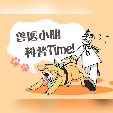 光遇万圣节桌子获取方法2021