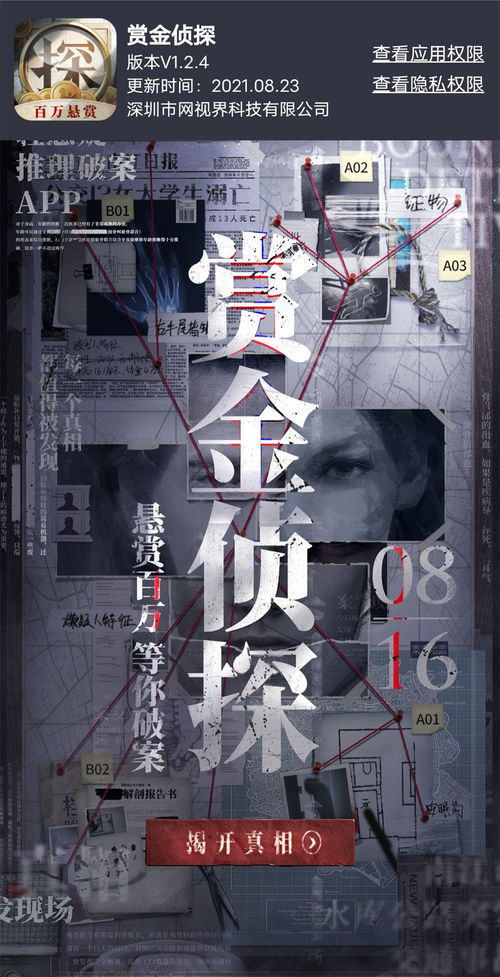 赏金侦探死两次之谜：凶手揭秘攻略