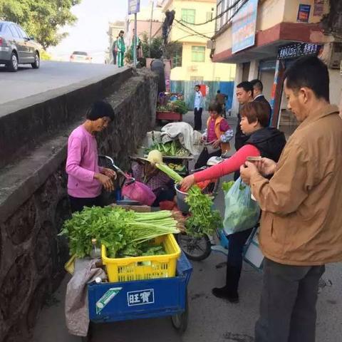 洪荒文明资源分配策略揭秘 资源获取技巧