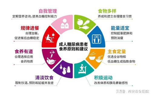 《拉格朗日计划：构建策略核心指南》