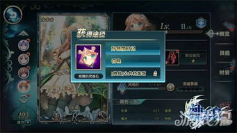 艾尔多战记占星师实力解析，角色培养攻略