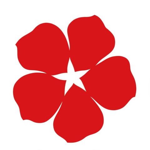 《EVE手游红色之友攻略：高效通关技巧》