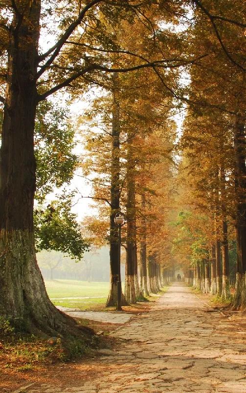 小浣熊百将传李逵角色解析