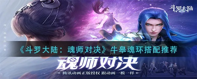 斗罗大陆魂师对决牛皋魂环选择攻略