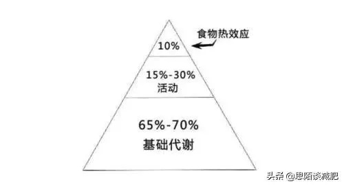 基于庇护所食物销售策略 价格规律速览