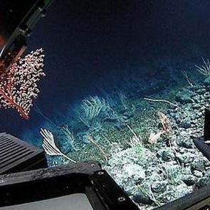 冒险深渊装备获取攻略