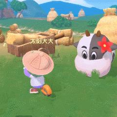 摩尔庄园手游牧场快速升级技巧