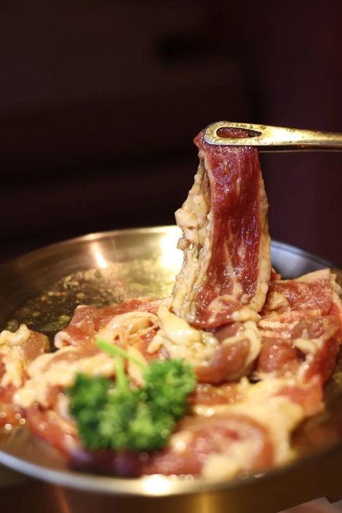 幻塔黄金脆皮烤肉制作攻略