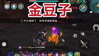 创造与魔法北境攻略：北境位置详解