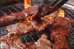 幻塔滋滋烤肉制作攻略