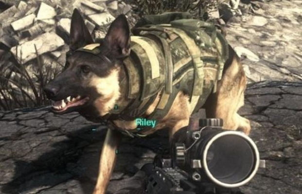 使命召唤手游军犬获取攻略