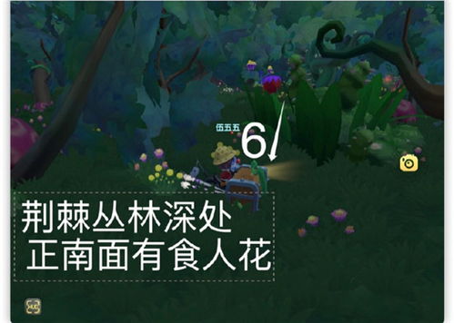 摩尔庄园手游黑森林钓鱼场位置