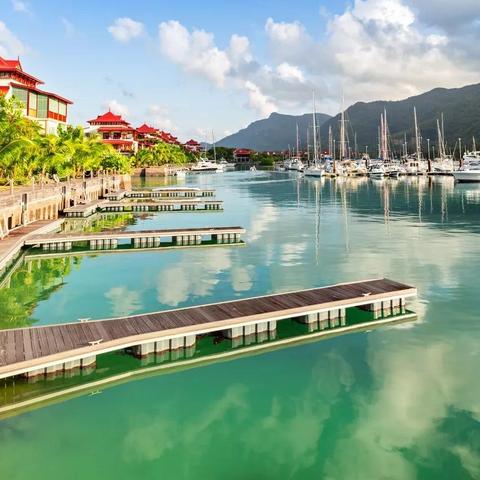 骄傲水母角色强度解析：伊甸园培养价值