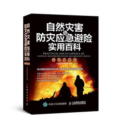 罗布乐思应对自然灾害攻略：幸存者生存指南