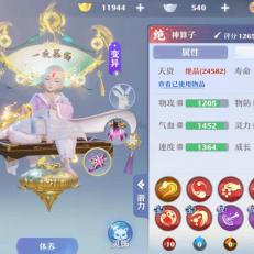 梦幻新诛仙每日灵兜兜位置