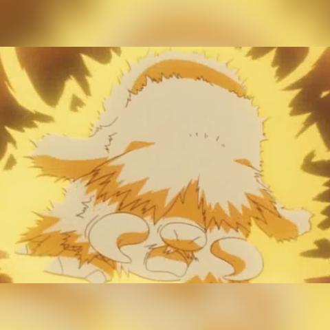 宝可梦大探险打雷配什么技能石？技能石推荐