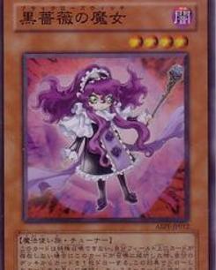 复苏魔女蔷薇之心