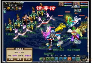 梦幻新诛仙菩提天枢功效解析