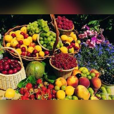 摩尔庄园哈密瓜种子获取方法