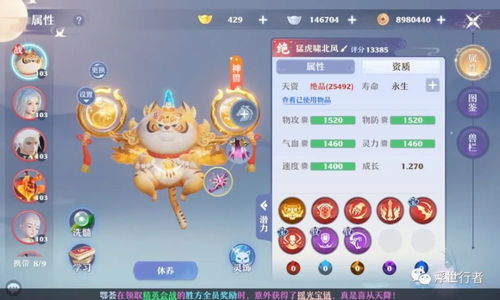 梦幻新诛仙月卡玩家60级阶段攻略