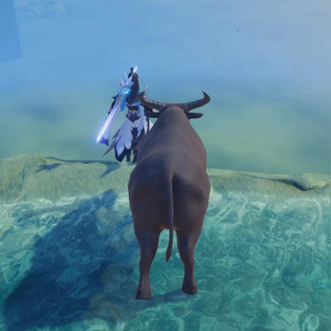 梦幻新诛仙小水牛藏身之地