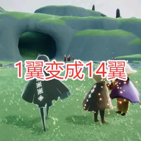 光夜萌新养卡推荐