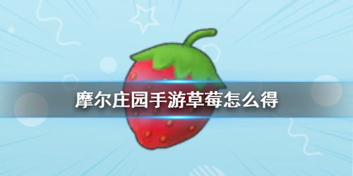 摩尔庄园手游草莓种子获取攻略