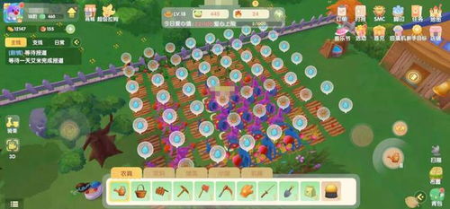 摩尔庄园手游种田布局攻略分享