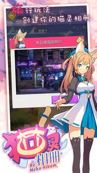 猫灵相册新手指南：新手必看攻略