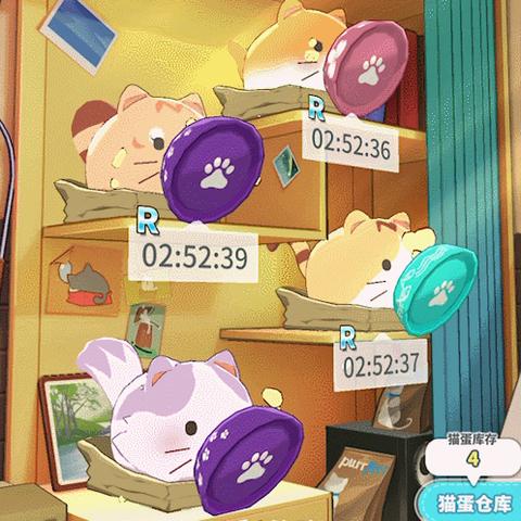 猫灵相册升级秘籍：快速升级攻略