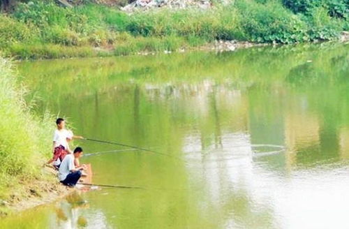 四季物语鳟鱼钓点位置寻攻略