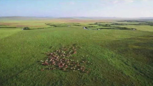 四季物语松土开垦田地攻略