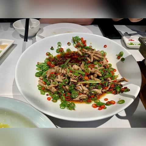 四季美食攻略：新手必看操作指南