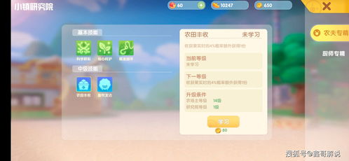 摩尔庄园手游贡献币清零规则揭秘