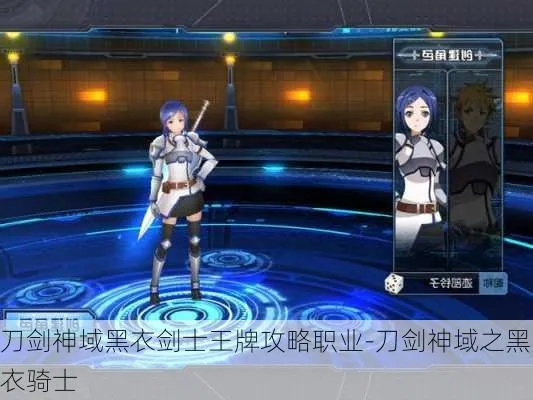 刀剑神域黑衣剑士职业专精选择指南