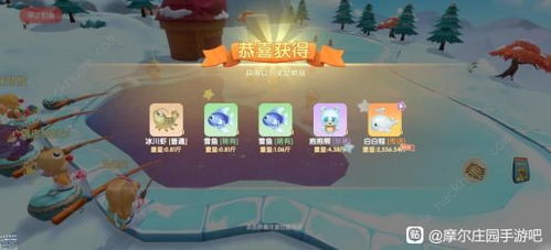 摩尔庄园手游河童钓鱼时间