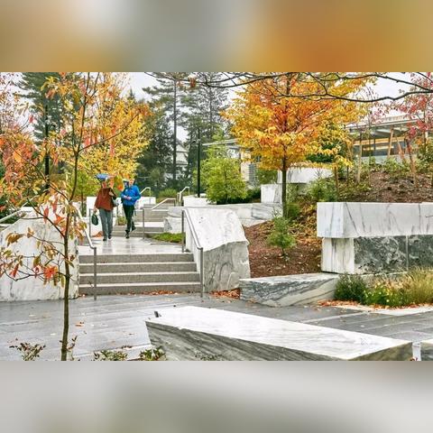 摩尔庄园手游小镇建筑师功能解析