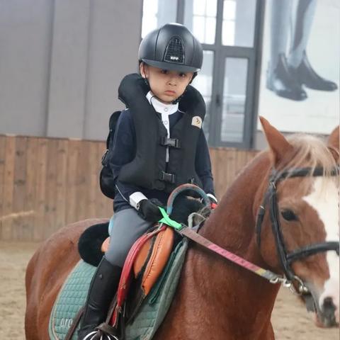 摩尔庄园手游怪怪糖豆功效揭秘