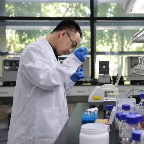 摩尔庄园手游小镇研究院技能升级攻略