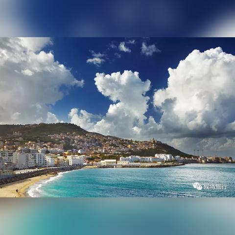 摩尔庄园手游石板路获取攻略