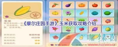 摩尔庄园手游白菜获取方法 农作物功效