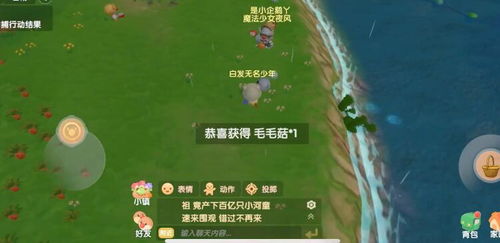 摩尔庄园手游毛毛菇获取地点