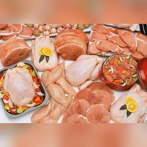 摩尔庄园手游弹跳甲鱼汤制作攻略