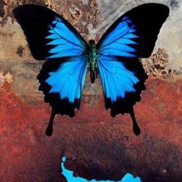 摩尔庄园手游钓龙虾位置揭秘