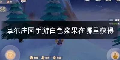 摩尔庄园手游白色浆果位置攻略